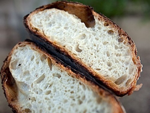 Bread, havarti sourdough loaf